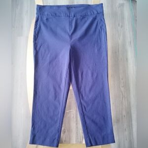 RW&CO. Navy Capri Slacks
